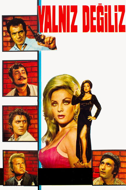 Yalnız Değiliz (1971) poster