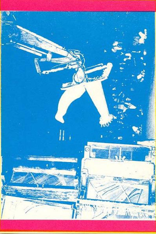 Illusions of Shameless Abundance (1989) poster