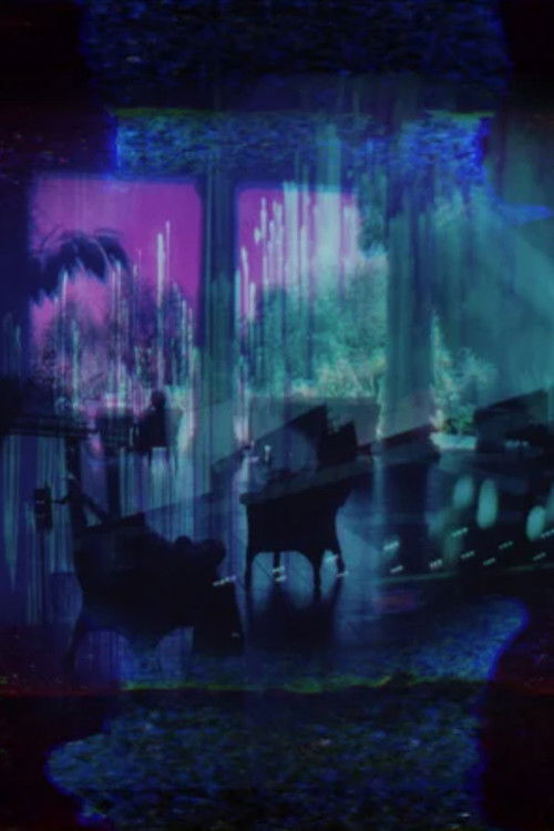 Hide & Seek (2022) poster