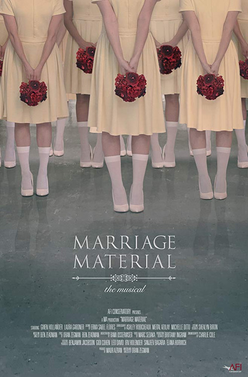 Marriage Material (2018) poster