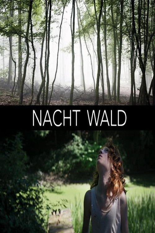 Nacht Wald (2019) poster