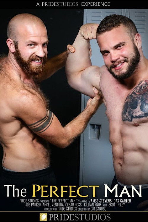 The Perfect Man (2021) poster