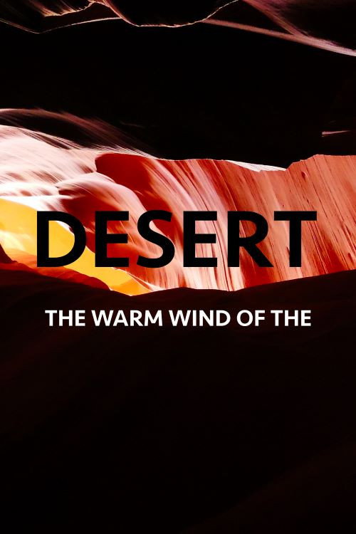 The Warm Wind Of The Desert (2020) poster