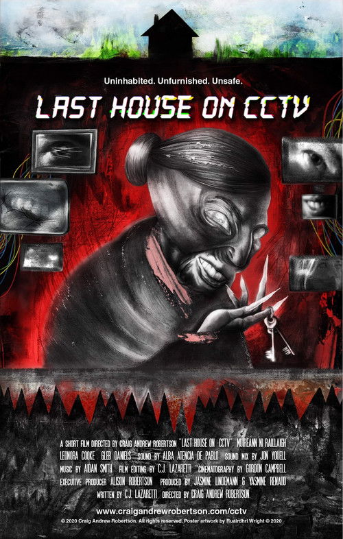 Last House on CCTV (2021) poster