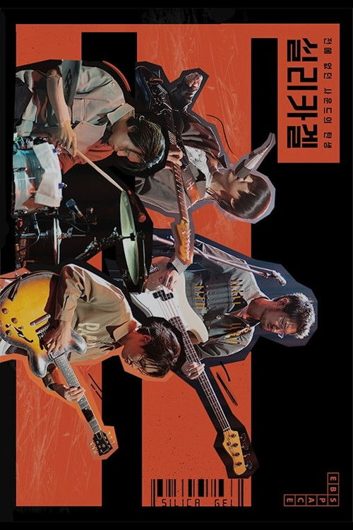 실리카겔: 전에 없던 사운드의 탄생 (2024) poster