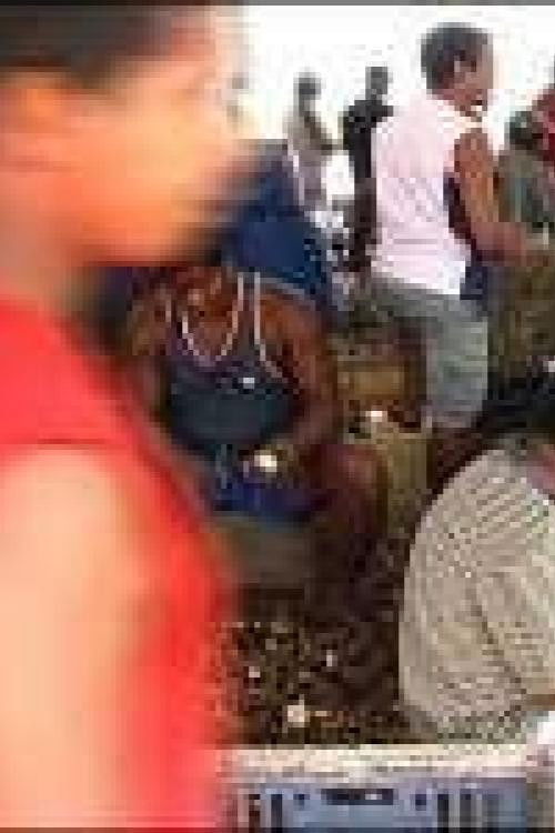 Volta Ao Longe (2005) poster