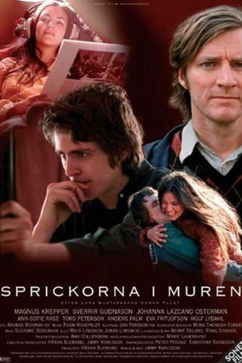 Sprickorna i muren (2003) poster