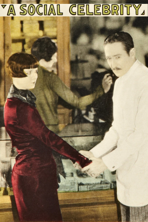 A Social Celebrity (1926) poster