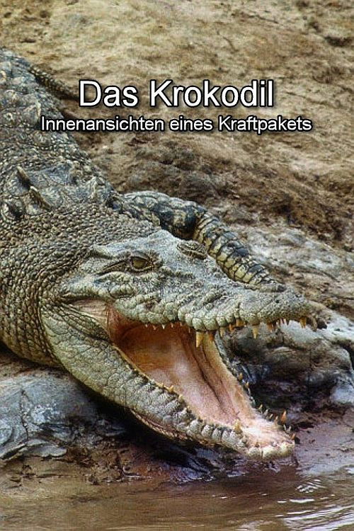Das Krokodil - Innenansichten eines Kraftpakets (2017) poster