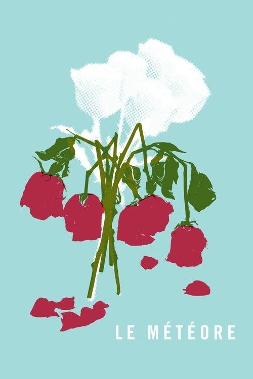 The Meteor (2013) poster