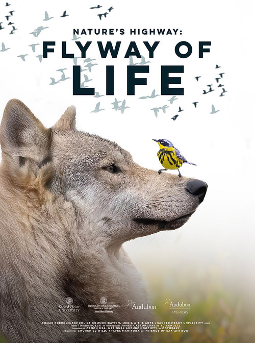 Flyway of Life (2025) poster