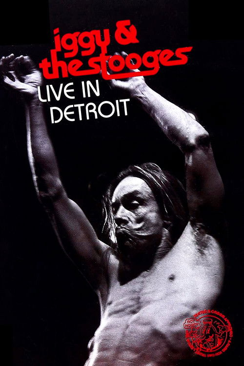 Iggy & the Stooges - Live in Detroit (2003) poster