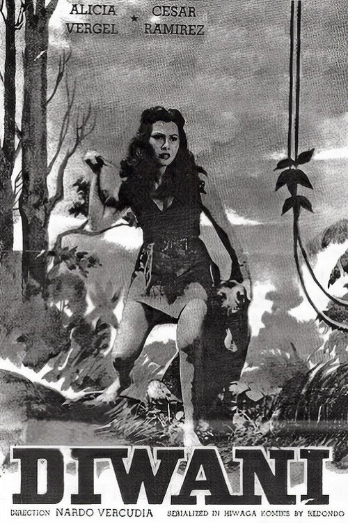 Diwani (1953) poster