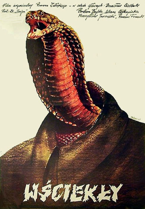 Wściekły (1980) poster