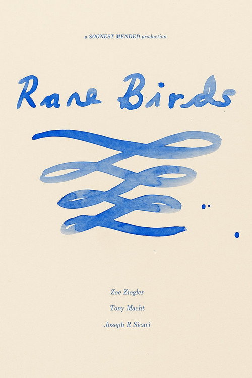 Rare Birds (2026) poster
