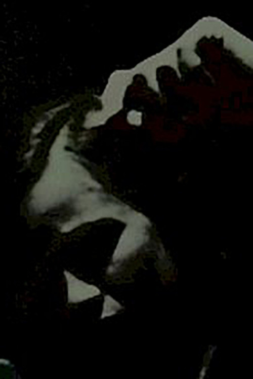 Cognac zéro étoile (2009) poster