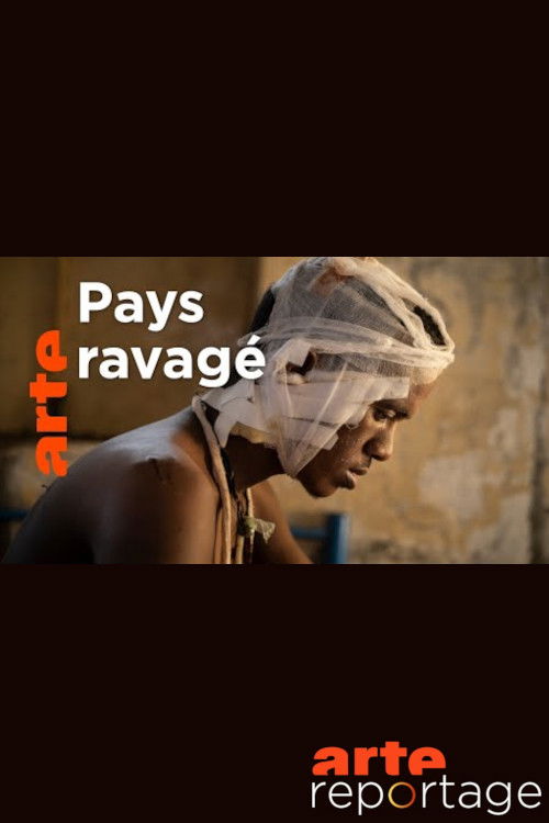 Soudan guerre du Tigre sur l autre rive (2021) poster