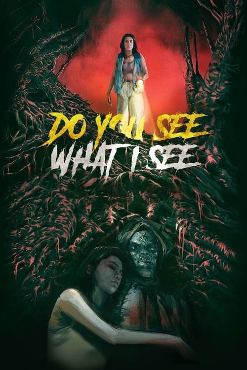 Do You See What I See (2024) poster