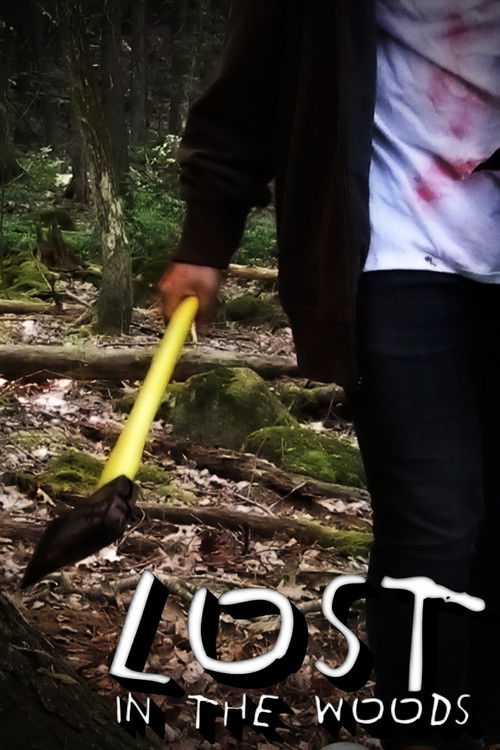 Lost In The Woods (2022) poster