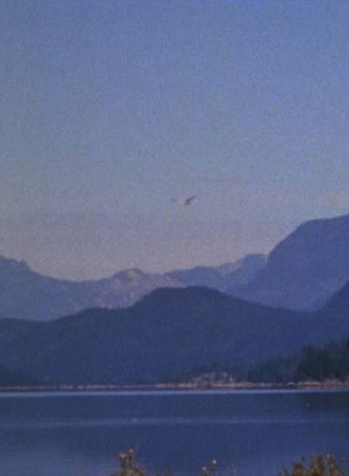 Landscape (1969) poster