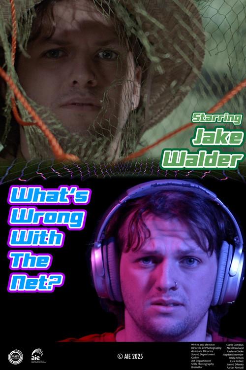 What's Wrong with the Net? (2025) poster