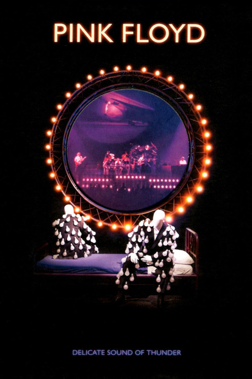Pink Floyd: Delicate Sound of Thunder (1989) poster