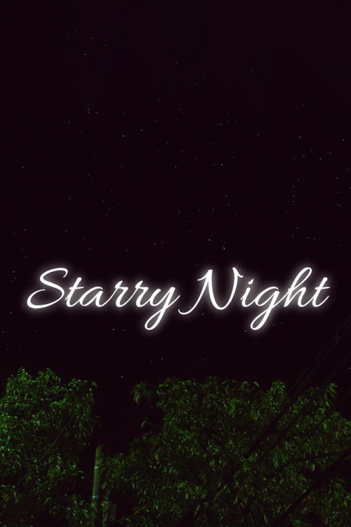 Starry Night (2013) poster