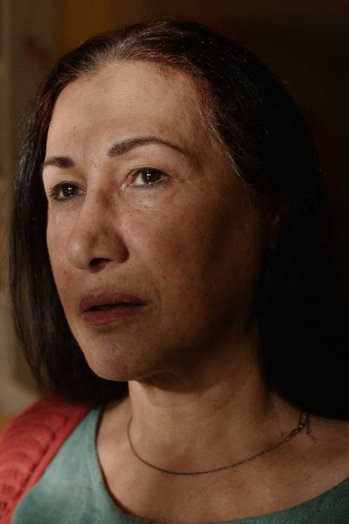 Dalia's Tea Casts a Shadow on Mount Fuji (2025) poster