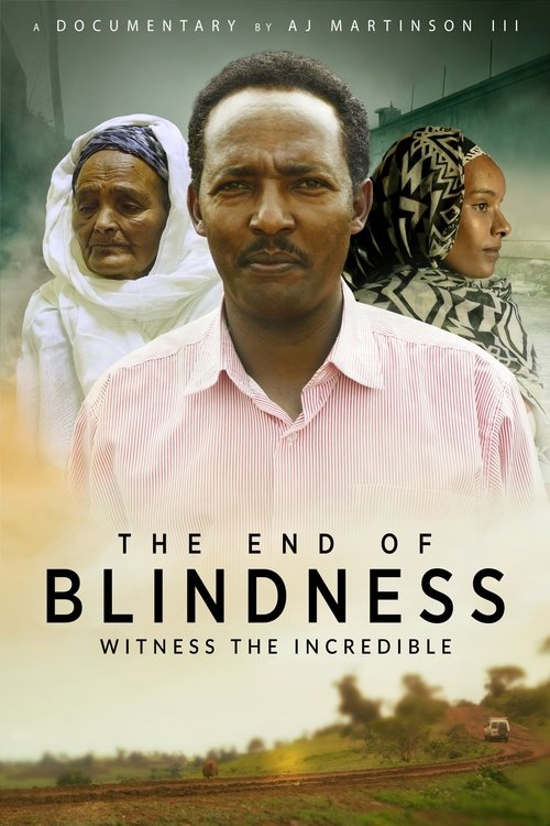 The End of Blindness (2021) poster