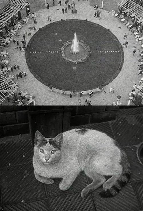 Berlin Still-Life (1926) poster