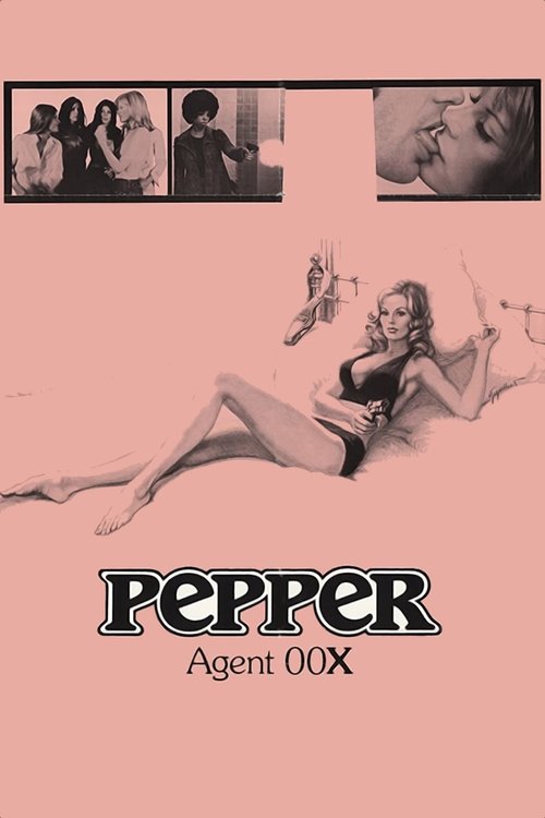 Checkmate (1973) poster