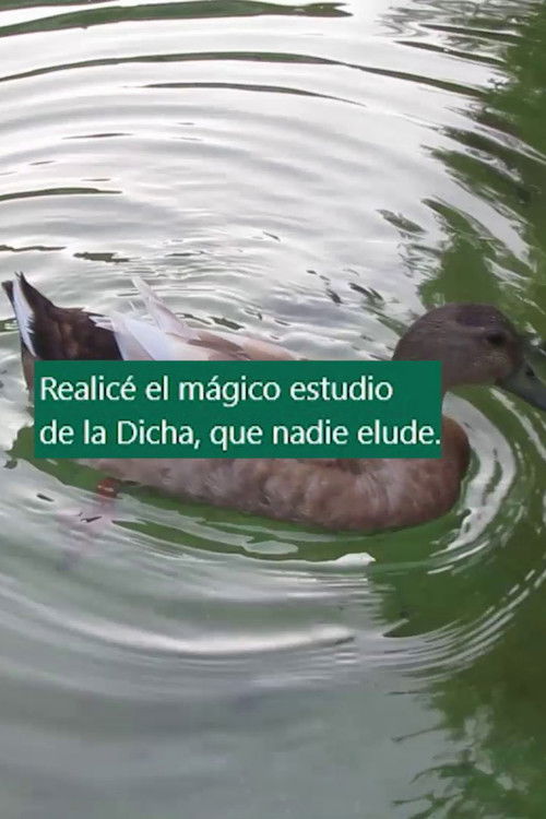 Cinco arrimamientos (2025) poster