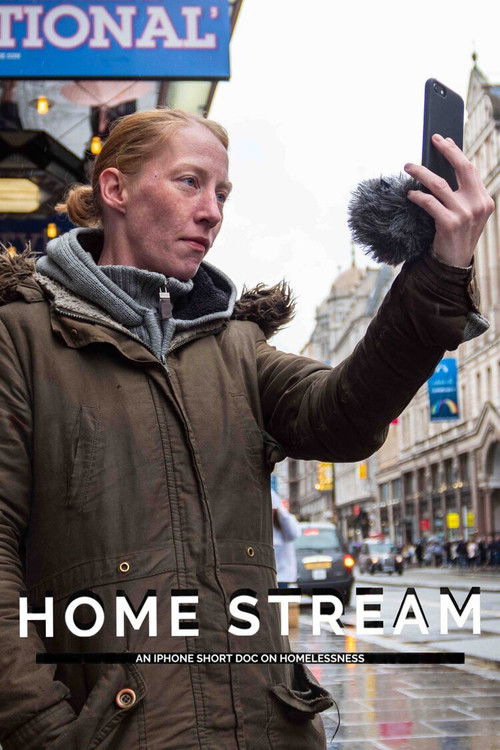 Home Stream (2019) poster