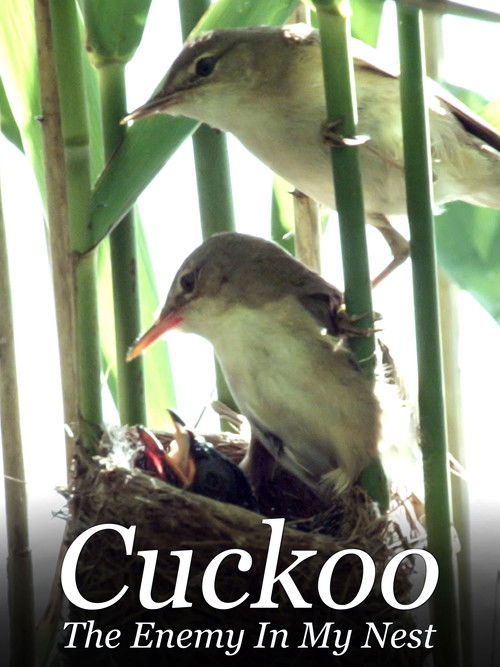 Cuckoo: The Enemy In My Nest (2017) poster