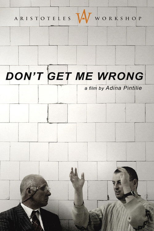 Don't Get Me Wrong (2007) poster