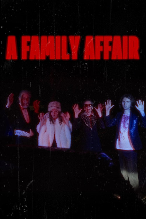 A Family Affair (2025) poster