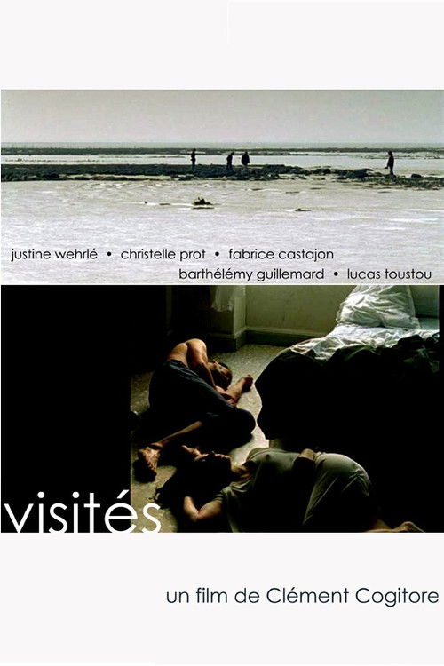 Visités (2007) poster