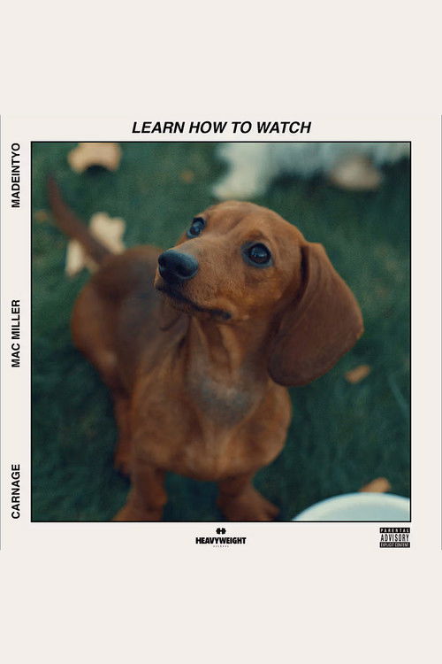 Learn How to Watch (2018) poster