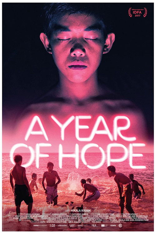 A Year of Hope (2017) poster