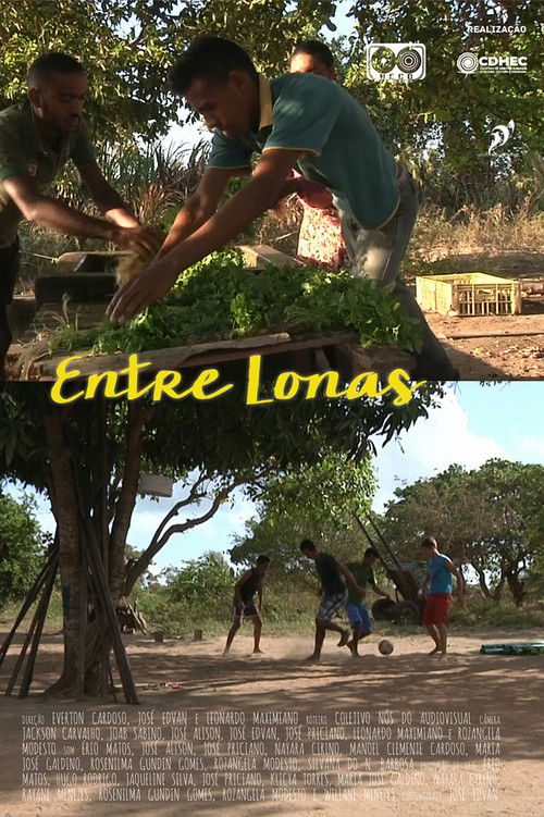 ENTRE LONAS (2013) poster