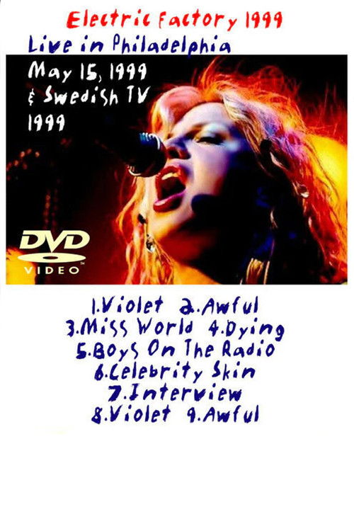 Hole: The Electric Factory (1999) poster