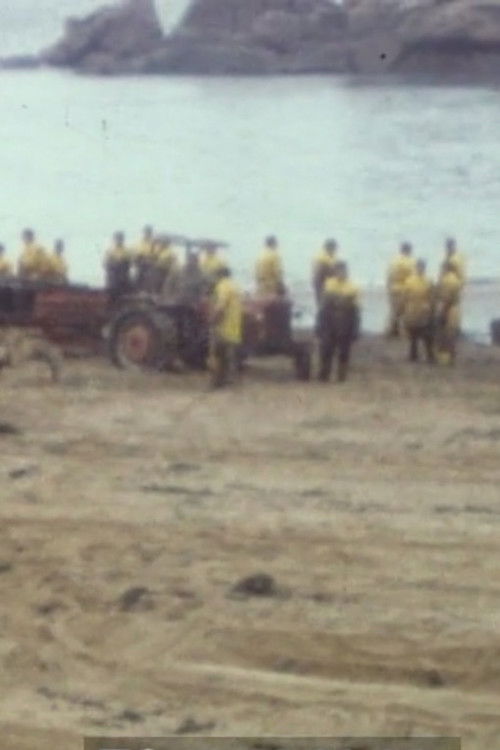 Collection série noire : Tome 4 (1980) poster