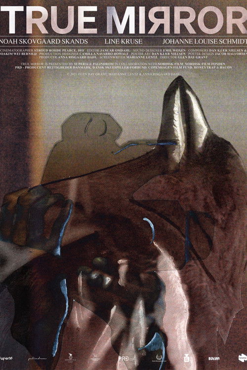True Mirror (2021) poster