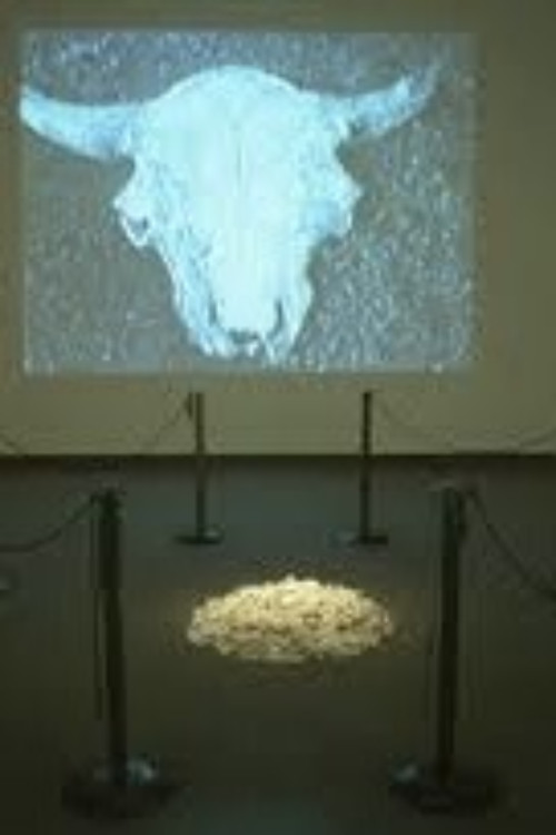 Buffalo Bone China (1997) poster