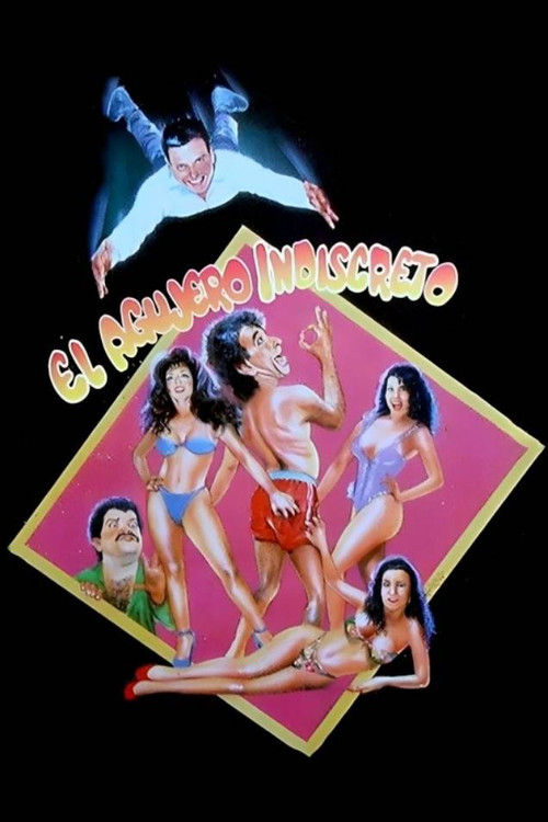 El agujero indiscreto (1993) poster