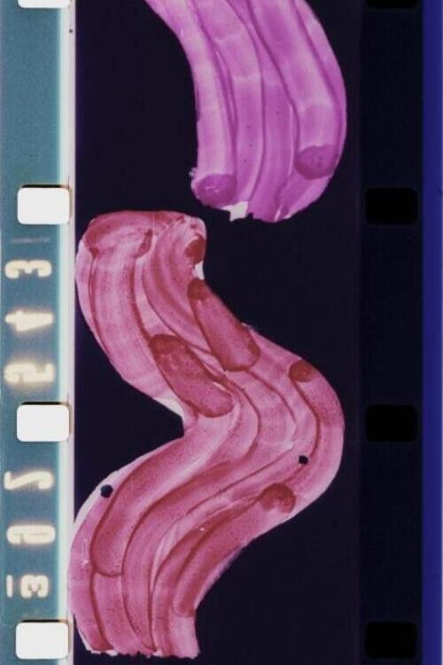 Scandés (1977) poster