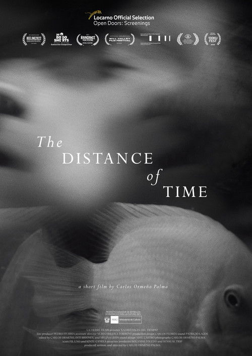 The Distance of Time (2021) poster