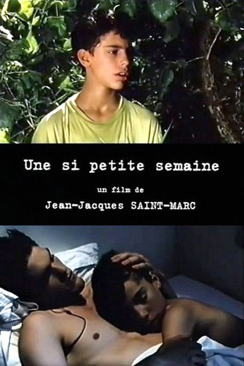 Une Si petite semaine (2002) poster