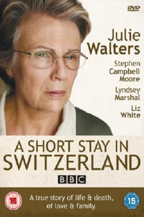 A Short Stay in Switzerland (2009) poster