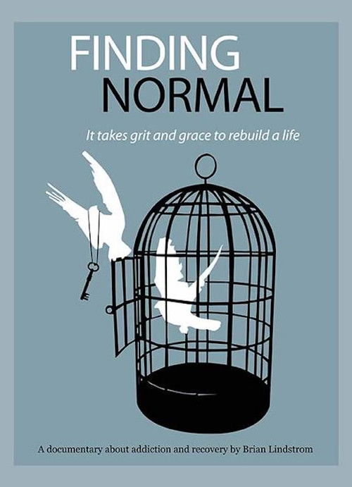 Finding Normal (2007) poster